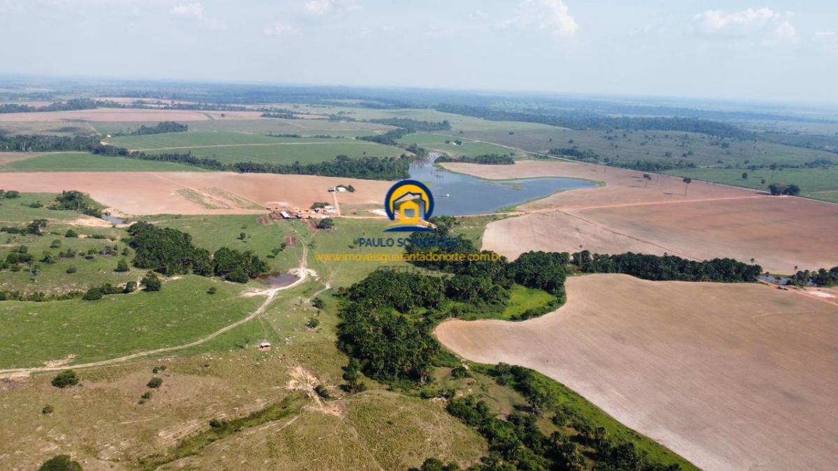 Fazenda, 1469ha, à venda